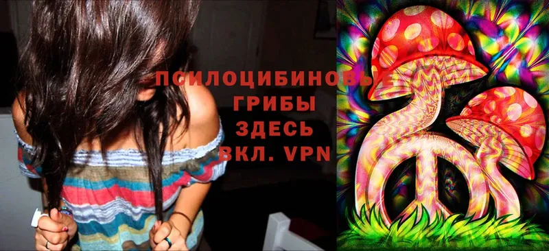 Галлюциногенные грибы MAGIC MUSHROOMS  Железноводск 